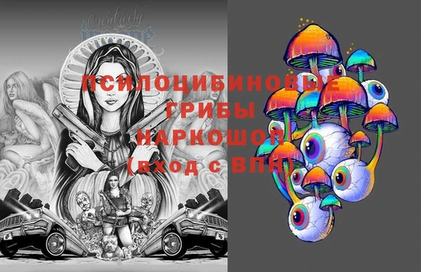 ПСИЛОЦИБИНОВЫЕ ГРИБЫ Вязьма