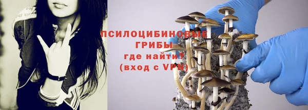 spice Волоколамск