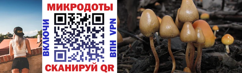 Псилоцибиновые грибы Psilocybine cubensis МЕГА сайт Мытищи